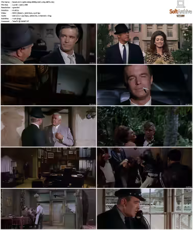 P.J. 1967 1080p BRRip AAC x265-XBiTs