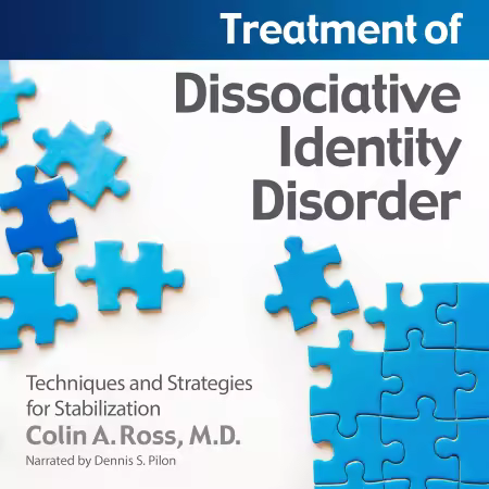 Treatment of Dissociative Identity Disorder: Techniques and Strategies for Stabilization (Audiobook)