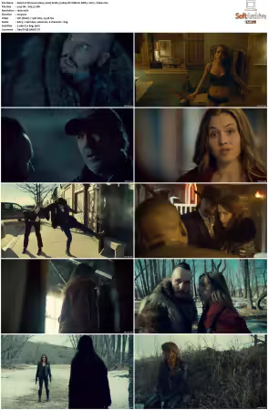 Wynonna Earp 2016 S01 1080p NF WEB-DL DDP5 1 AV1-Vialle