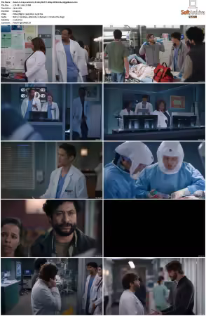 Greys Anatomy S21 MULTI 1080p WEB H264-SCENE