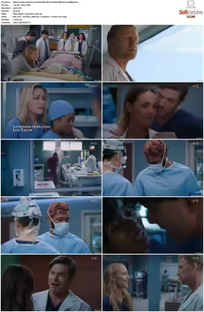 Greys Anatomy S21 MULTI 1080p WEB H264-SCENE