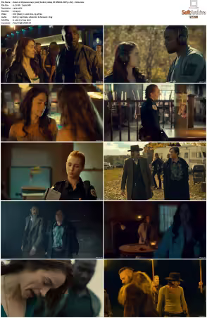 Wynonna Earp 2016 S01 1080p NF WEB-DL DDP5 1 AV1-Vialle