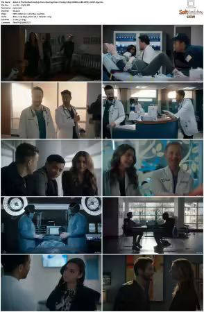 The Resident S04 1080p WEBRip 10Bit DDP5.1 HEVC-d3g
