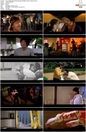 English Babu Desi Mem 1996 1080p NF WEBDL x264 AAC 2.0-BlacK_PearL