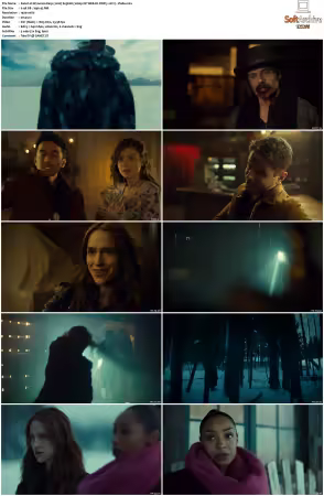 Wynonna Earp 2016 S03 1080p NF WEB-DL DDP5 1 AV1-Vialle