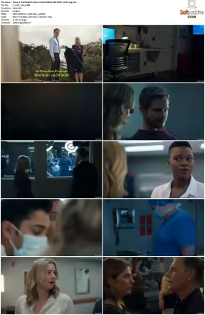 The Resident S03 1080p WEBRip 10Bit DDP5.1 HEVC-d3g