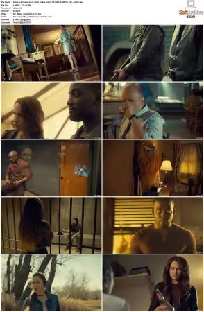 Wynonna Earp 2016 S01 1080p NF WEB-DL DDP5 1 AV1-Vialle