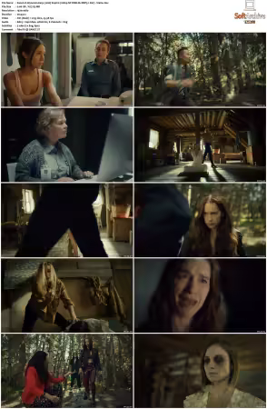 Wynonna Earp 2016 S04 1080p NF WEB-DL DDP5.1 AV1-Vialle