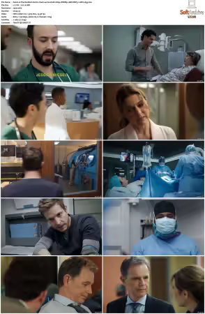 The Resident S02 1080p WEBRip 10Bit DDP5.1 HEVC-d3g