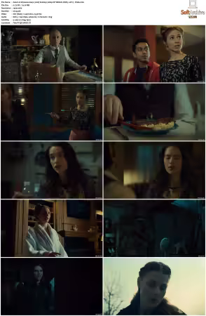 Wynonna Earp 2016 S02 1080p NF WEB-DL DDP5.1 AV1-Vialle