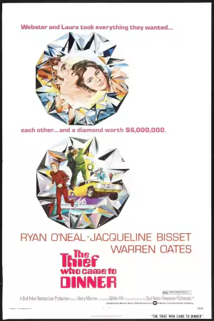 The Thief Who Came to Dinner 1973 720p x264-Classics