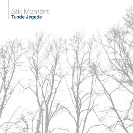 Tunde Jegede - Still Moment (2006) (FLAC)