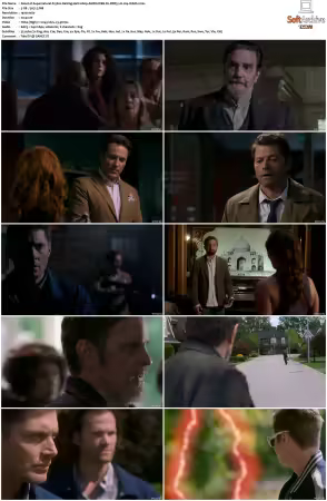 Supernatural S15 1080p AMZN WEB-DL DDP5.1 H264-WADU