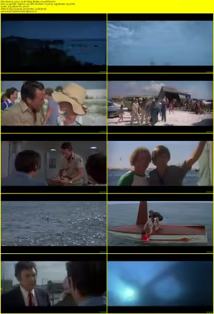 Jaws 2 1978 1080p BluRay x264-BitSa