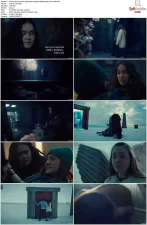 Wynonna Earp 2016 S04 1080p NF WEB-DL DDP5.1 AV1-Vialle
