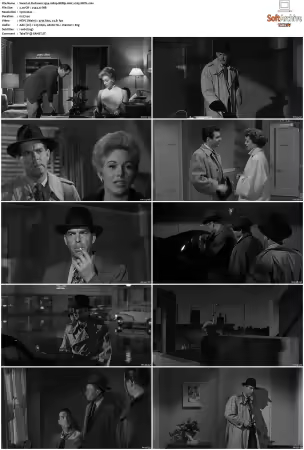 Pushover 1954 1080p BRRip AAC x265-XBiTs