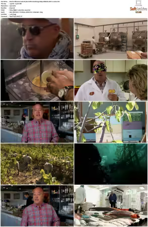 Bizarre Foods S13 1080p WEB-DL AAC2 0 x264