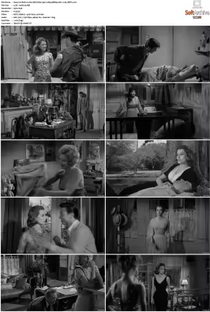 Walk on the Wild Side 1962 1080p BRRip AAC x265-XBiTs