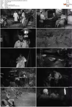 Monster From Green Hell 1957 1080p BRRip AAC x265-XBiTs