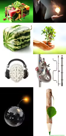 Collection Creative Concept