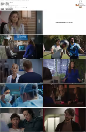 Greys Anatomy S21 MULTI 1080p WEB H264-SCENE