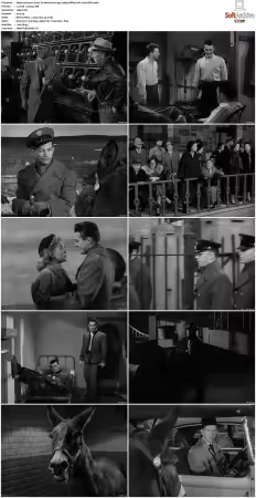 Francis Goes To West Point 1952 1080p BRRip AAC x265-XBiTs