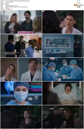 Greys Anatomy S21 MULTI 1080p WEB H264-SCENE