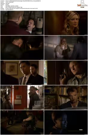Justified S05 1080p DSNP WEB-DL DDP 5.1 H264-playWEB
