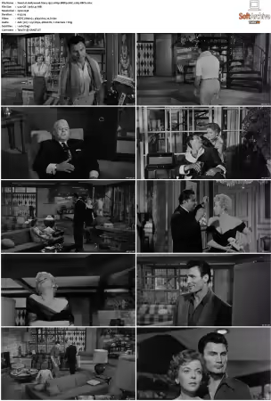 Hollywood Story 1951 1080p BRRip AAC x265-XBiTs