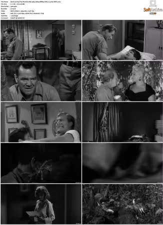 Day The World Ended 1955 1080p BRRip AAC2.0 x265-XBiTs