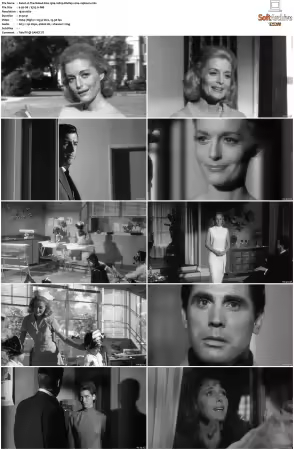 The Naked Kiss 1964 1080p BluRay x264-Japhson