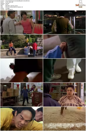 Shaolin Soccer 2001 1080p BRRip AAC2.0 h264-XBiTs