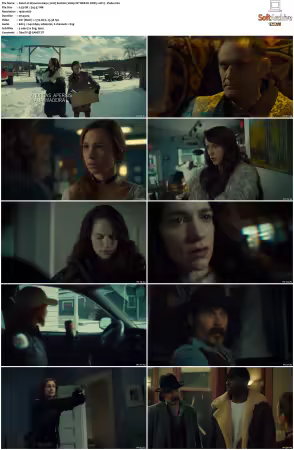 Wynonna Earp 2016 S02 1080p NF WEB-DL DDP5.1 AV1-Vialle