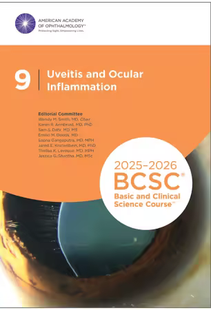 2025-2026 BCSC Basic and Clinical Science Course, Section 09: Uveitis and Ocular Inflammation