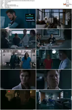 The Resident S06 1080p WEBRip 10Bit DDP5.1 HEVC-d3g