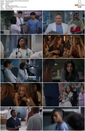 Greys Anatomy S21 MULTI 1080p WEB H264-SCENE
