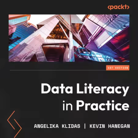 Data Literacy in Practice (Audiobook)