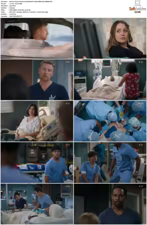 Greys Anatomy S21 MULTI 1080p WEB H264-SCENE