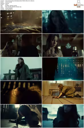 Wynonna Earp 2016 S03 1080p NF WEB-DL DDP5 1 AV1-Vialle