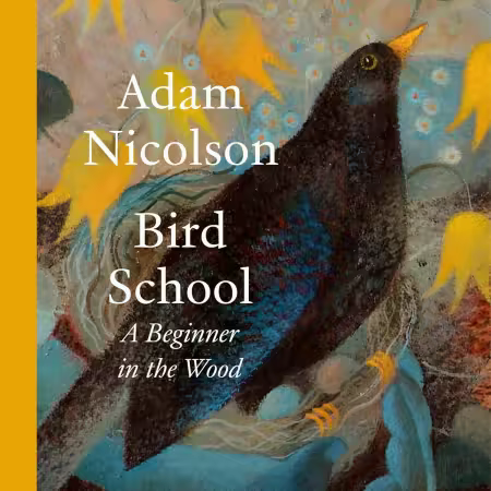 Bird School: A Beginner in the Wood (Audiobook)