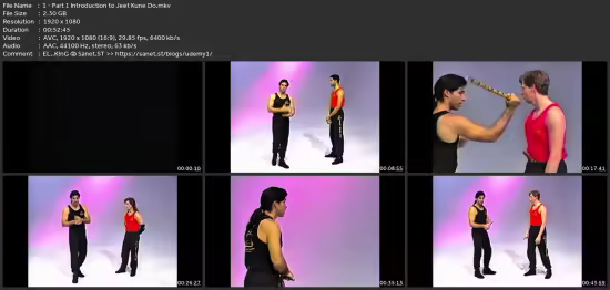 Defining Bruce Lee'S Jeet Kune Do With Burton Richardson