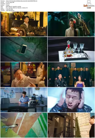 The Mermaid 2016 BluRay 1080p x265 10bit 2Audio MNHD-FRDS