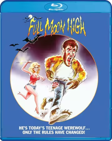 Full Moon High 1981 1080p BluRay x264-BitSa