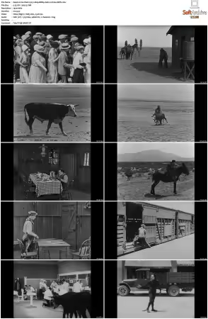 Go West 1925 1080p BRRip AAC2.0 h264-XBiTs