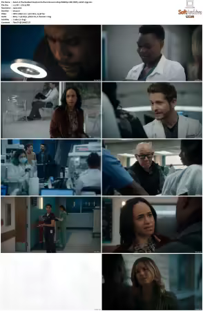 The Resident S04 1080p WEBRip 10Bit DDP5.1 HEVC-d3g