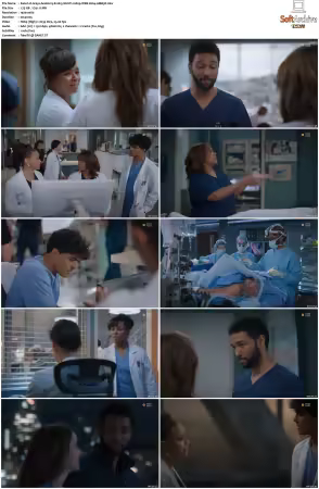 Greys Anatomy S21 MULTI 1080p WEB H264-SCENE