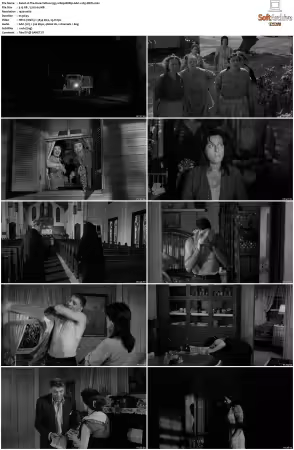 The Rose Tattoo 1955 1080p BRRip AAC x265-XBiTs