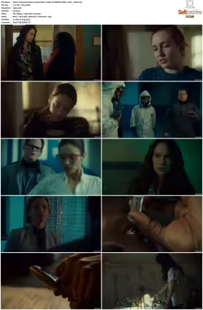 Wynonna Earp 2016 S02 1080p NF WEB-DL DDP5.1 AV1-Vialle