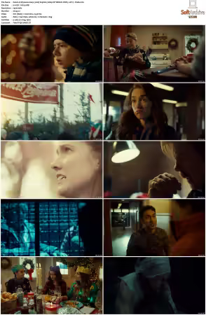 Wynonna Earp 2016 S03 1080p NF WEB-DL DDP5 1 AV1-Vialle