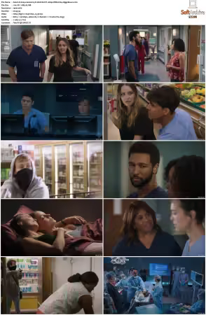 Greys Anatomy S21 MULTI 1080p WEB H264-SCENE